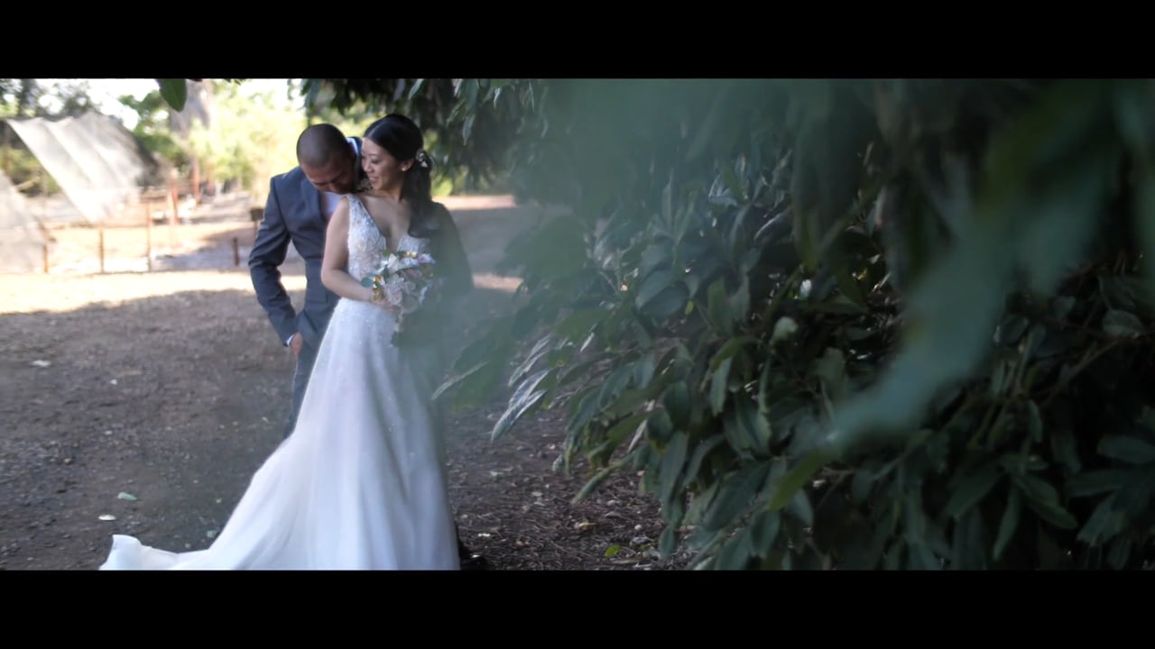 Leah Travis Hawaii Wedding Videography Mari S Gardens Isle